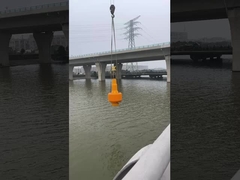 পলিথিলিন বোয়া