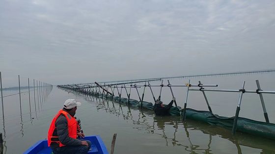 উপকারী পরিবেশ বান্ধব তেল স্পিল সিল্ট কভার বুম কার্টেন
